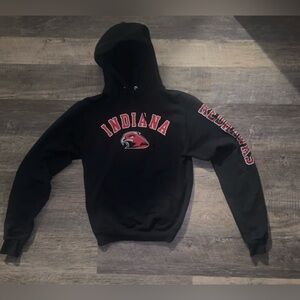 Champion Indiana University Hoodie